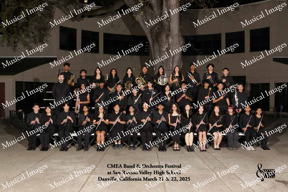 Musical Images